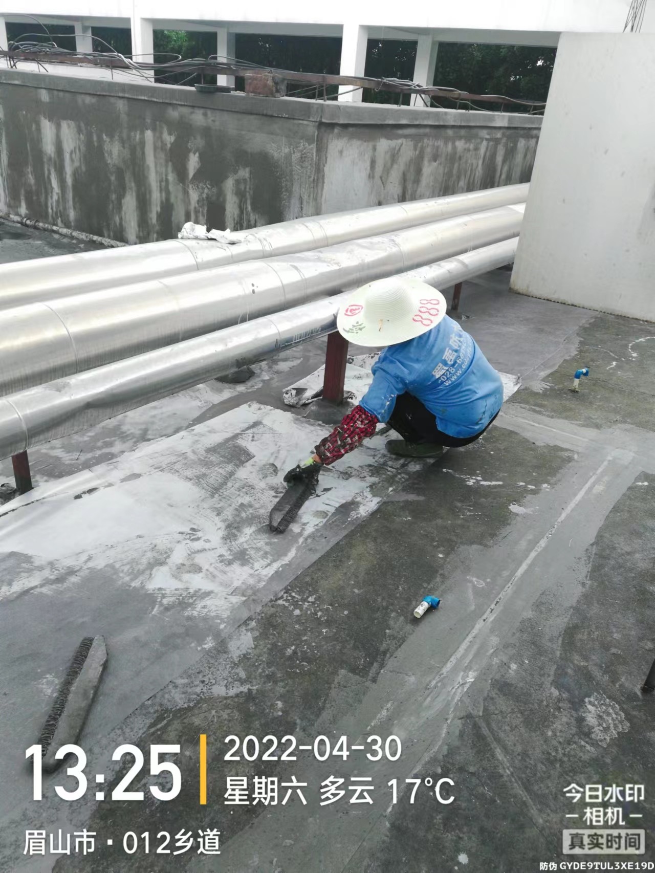 1654312321114603.jpg
