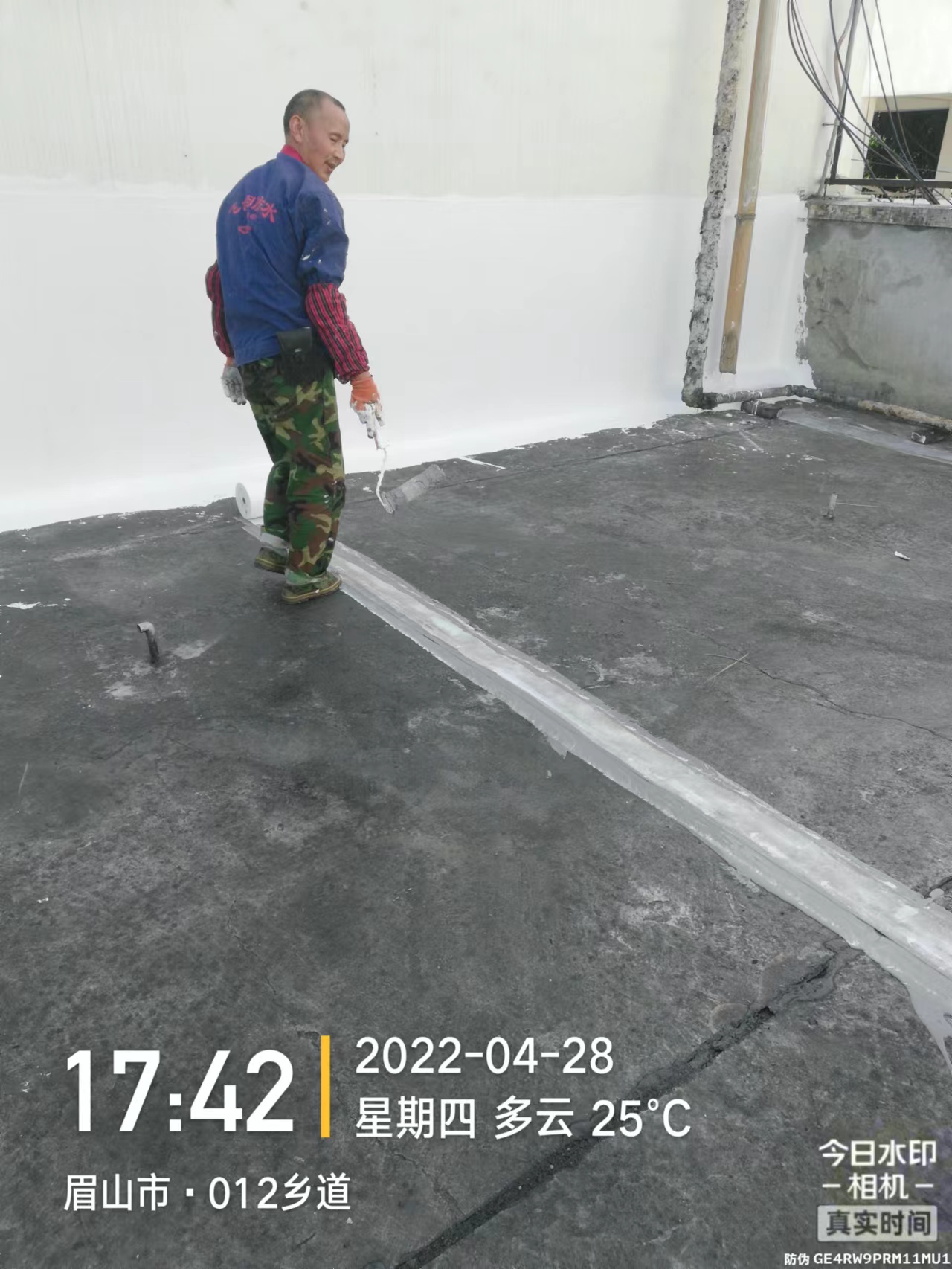 1654312321822441.jpg